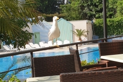 IMG-20190603-WA0023