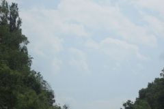 IMG_6692