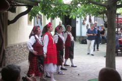 IMG_6718
