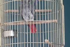 IMG-20190605-WA0001