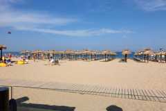 IMG-20190606-WA0015