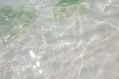 IMG-20190607-WA0056