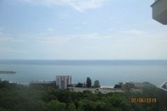 IMG_6648