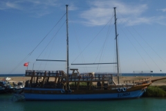 DSCI0088