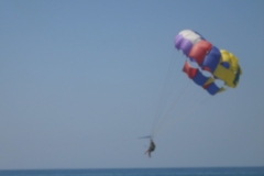 DSCI0098
