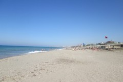 IMG_1309