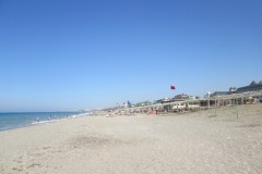 IMG_1310