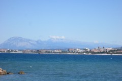 IMG_1356