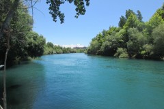 IMG_1361