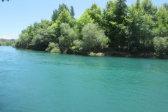 IMG_1362