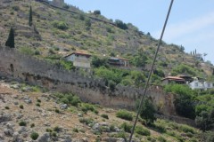 IMG_1458